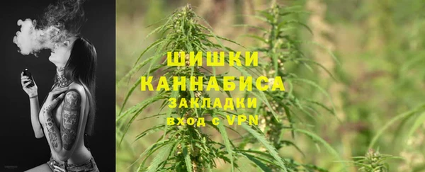 твердый Верхний Тагил