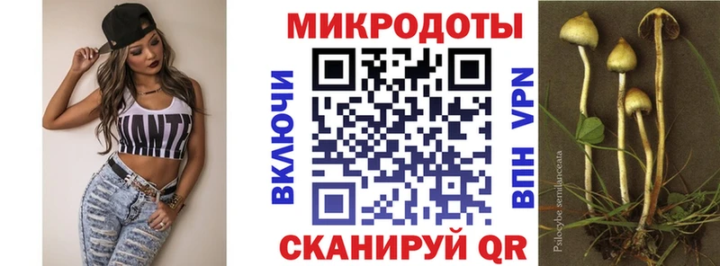 Галлюциногенные грибы Psilocybe  мега ONION  Суворов 